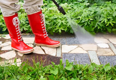 Is Power Washing Safe? What To Know About Plants, Pets, And More